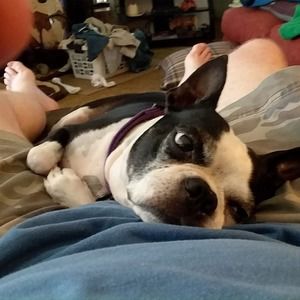 Meet your Posher, Richard c